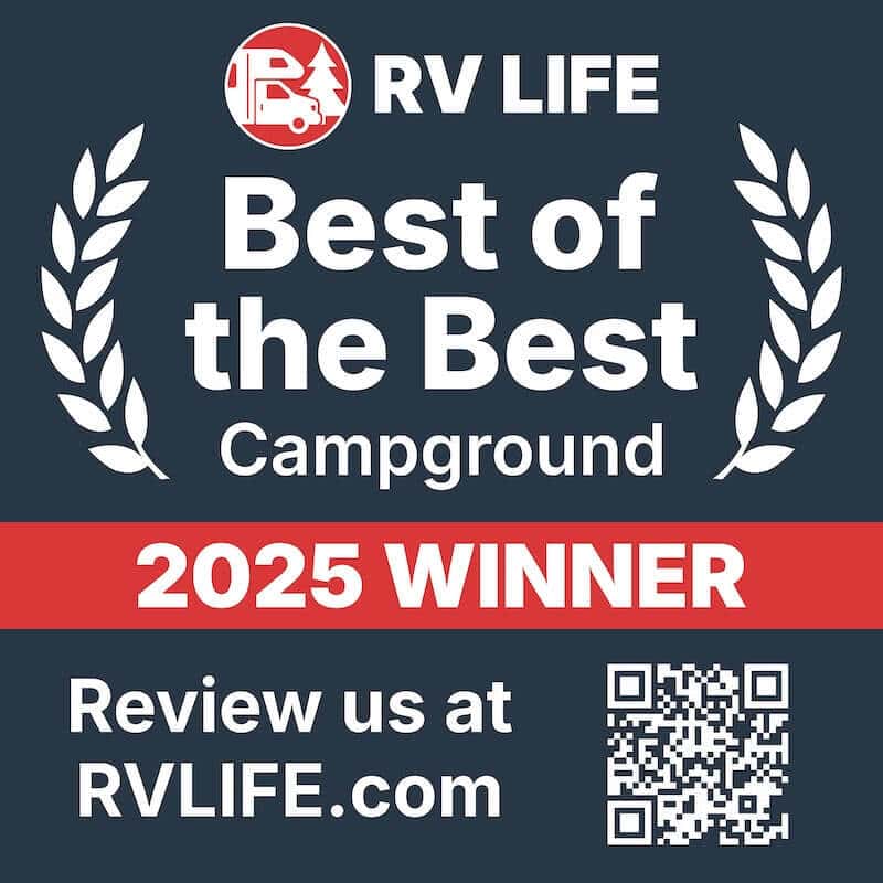 Best of the best